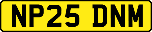 NP25DNM
