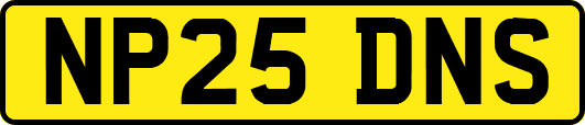 NP25DNS