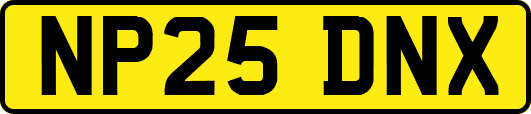 NP25DNX