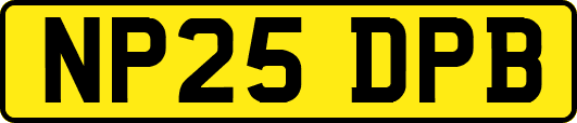 NP25DPB