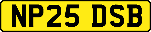 NP25DSB