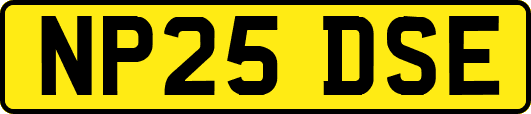 NP25DSE