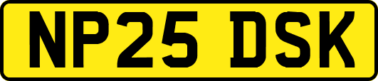 NP25DSK