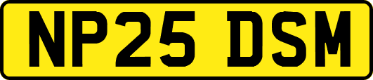 NP25DSM