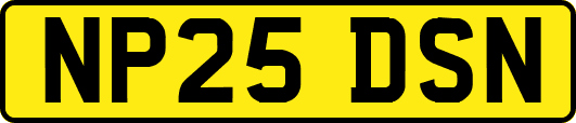 NP25DSN