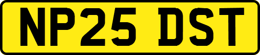 NP25DST