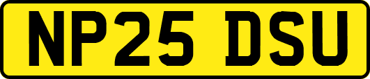 NP25DSU