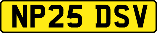 NP25DSV