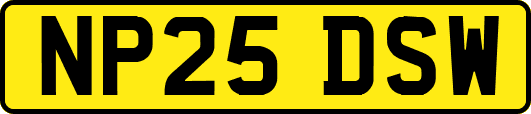 NP25DSW