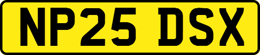 NP25DSX