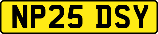 NP25DSY
