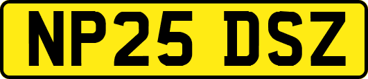 NP25DSZ