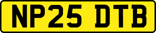 NP25DTB