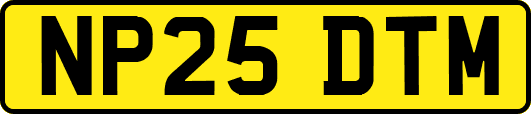 NP25DTM