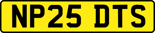 NP25DTS
