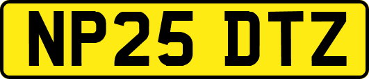 NP25DTZ