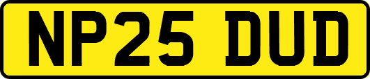 NP25DUD