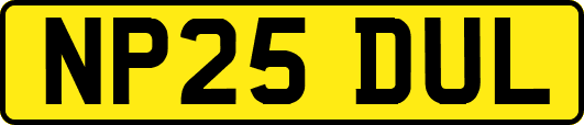 NP25DUL