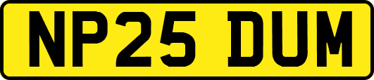 NP25DUM