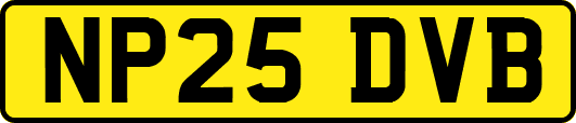 NP25DVB
