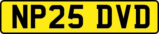 NP25DVD