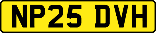 NP25DVH