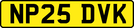 NP25DVK