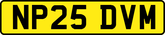 NP25DVM