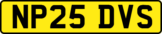 NP25DVS