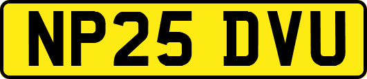 NP25DVU