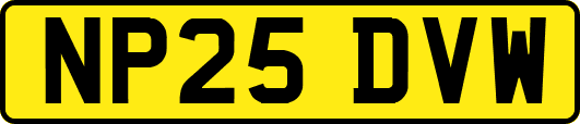 NP25DVW