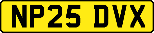 NP25DVX