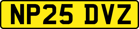 NP25DVZ