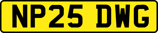 NP25DWG