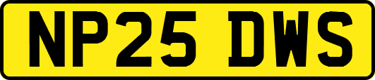 NP25DWS