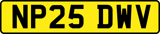 NP25DWV