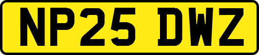 NP25DWZ