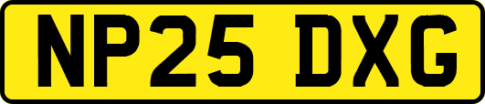 NP25DXG