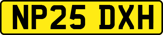 NP25DXH