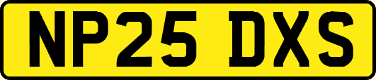 NP25DXS