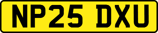 NP25DXU