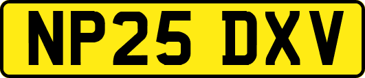 NP25DXV