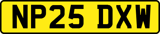 NP25DXW