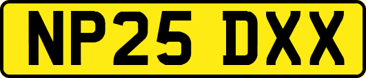 NP25DXX