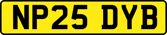 NP25DYB