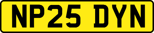 NP25DYN