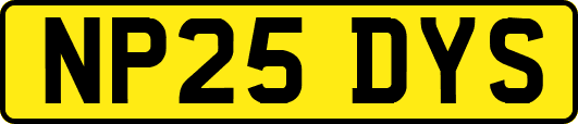 NP25DYS