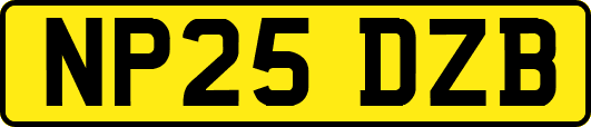 NP25DZB