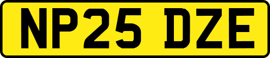 NP25DZE