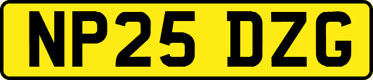 NP25DZG